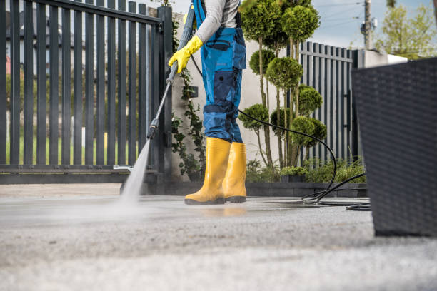 Best Driveway Pressure Washing  in De Soto, IA